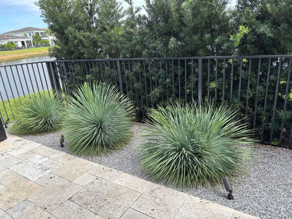 En Renta: $10,000 (3 camas, 2 baños, 2359 Pies cuadrados)