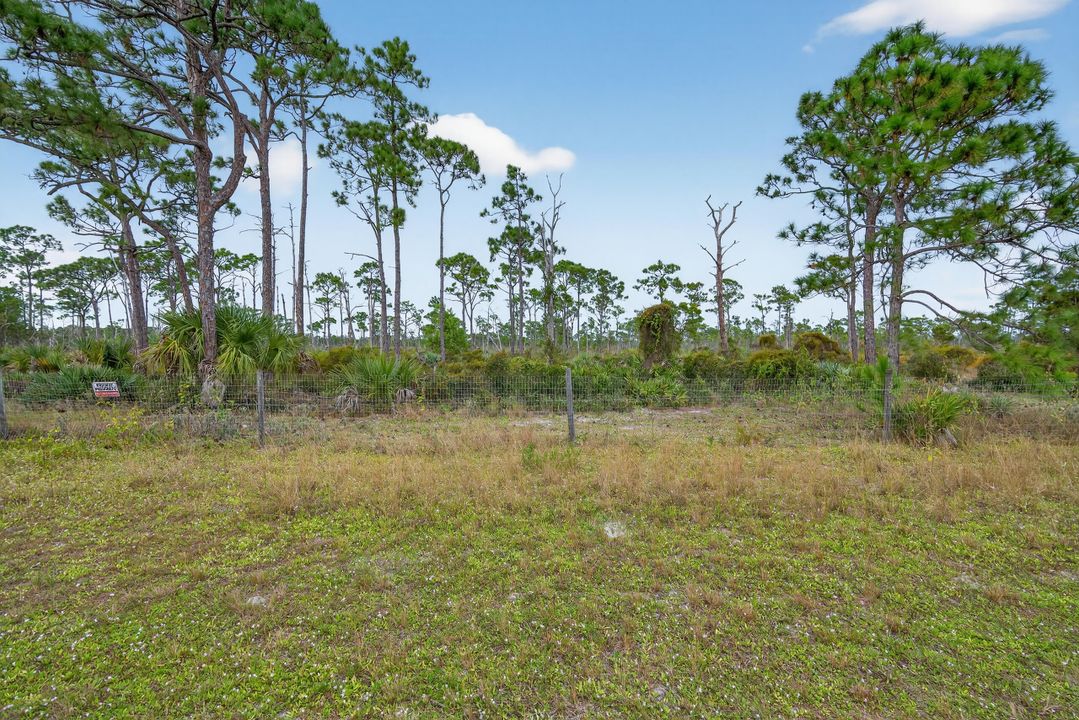 待售: $195,000 (2 贝兹, 1 浴室, 910 平方英尺)