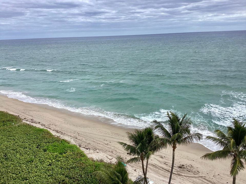 出租: $3,700 (2 贝兹, 2 浴室, 988 平方英尺)