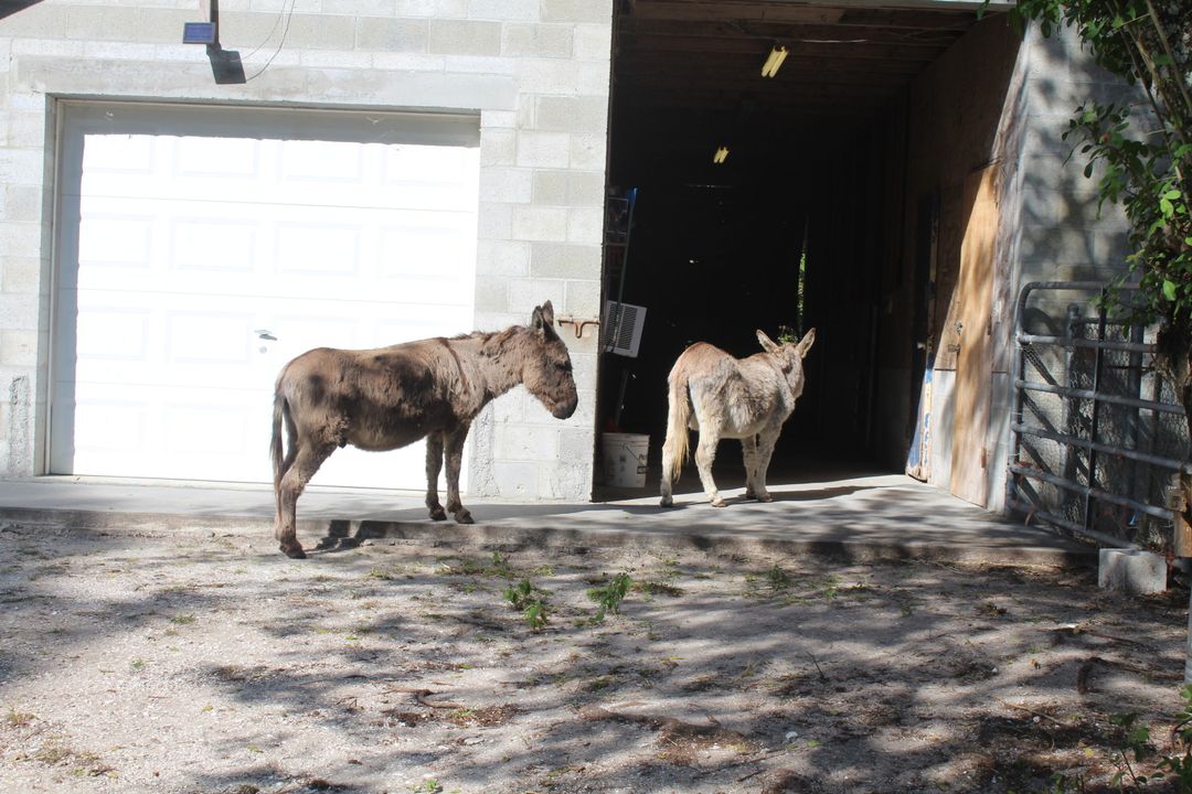 待售: $803,000 (4 贝兹, 3 浴室, 2737 平方英尺)