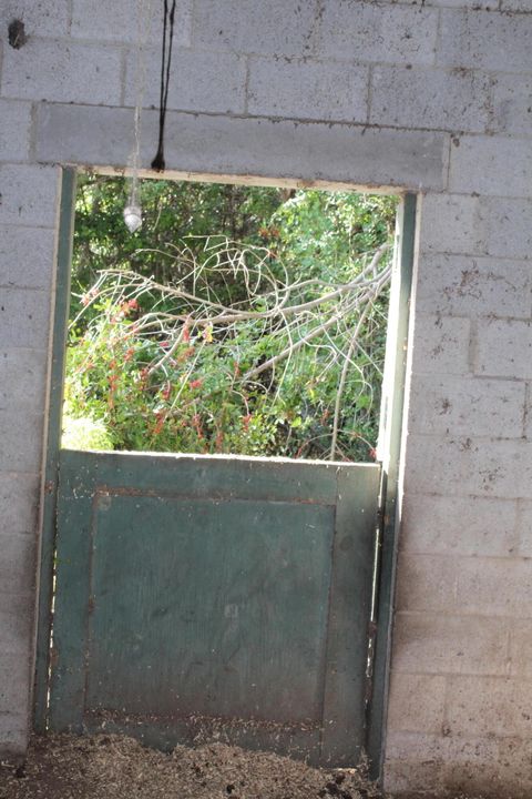 待售: $803,000 (4 贝兹, 3 浴室, 2737 平方英尺)