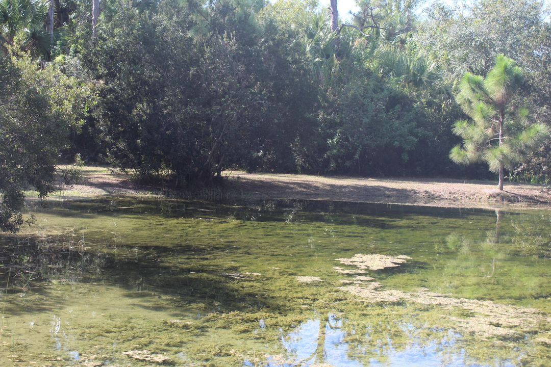 待售: $803,000 (4 贝兹, 3 浴室, 2737 平方英尺)