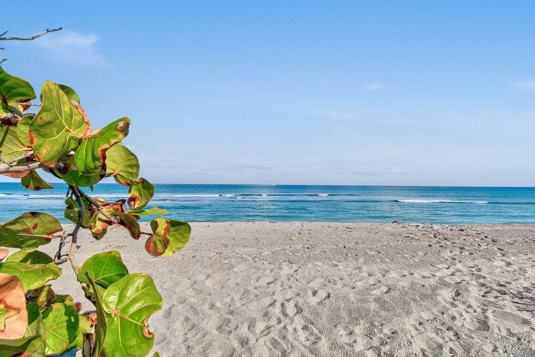 For Sale: $2,249,000 (0 beds, 0 baths, 2832 Square Feet)