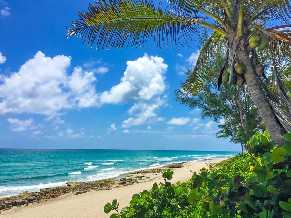 For Sale: $9,950,000 (5 beds, 6 baths, 5963 Square Feet)