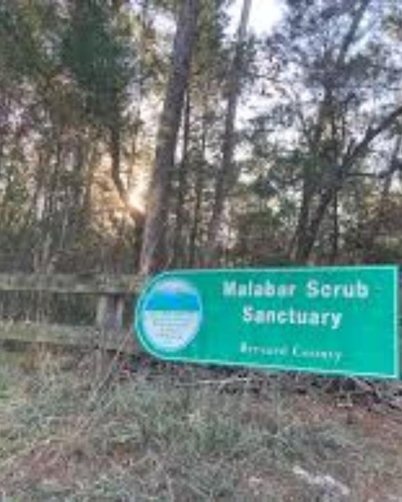 For Sale: $339,900 (3 beds, 2 baths, 1652 Square Feet)