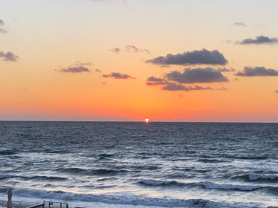 Active With Contract: $3,600 (1 beds, 1 baths, 1141 Square Feet)