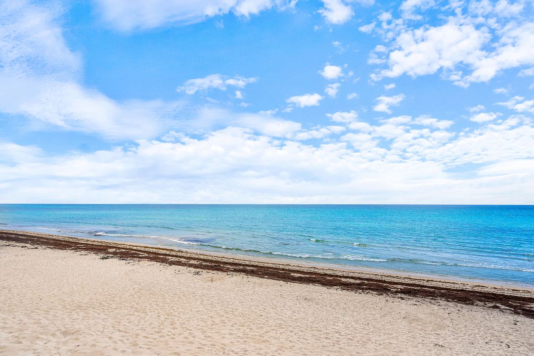 Active With Contract: $3,600 (1 beds, 1 baths, 1141 Square Feet)