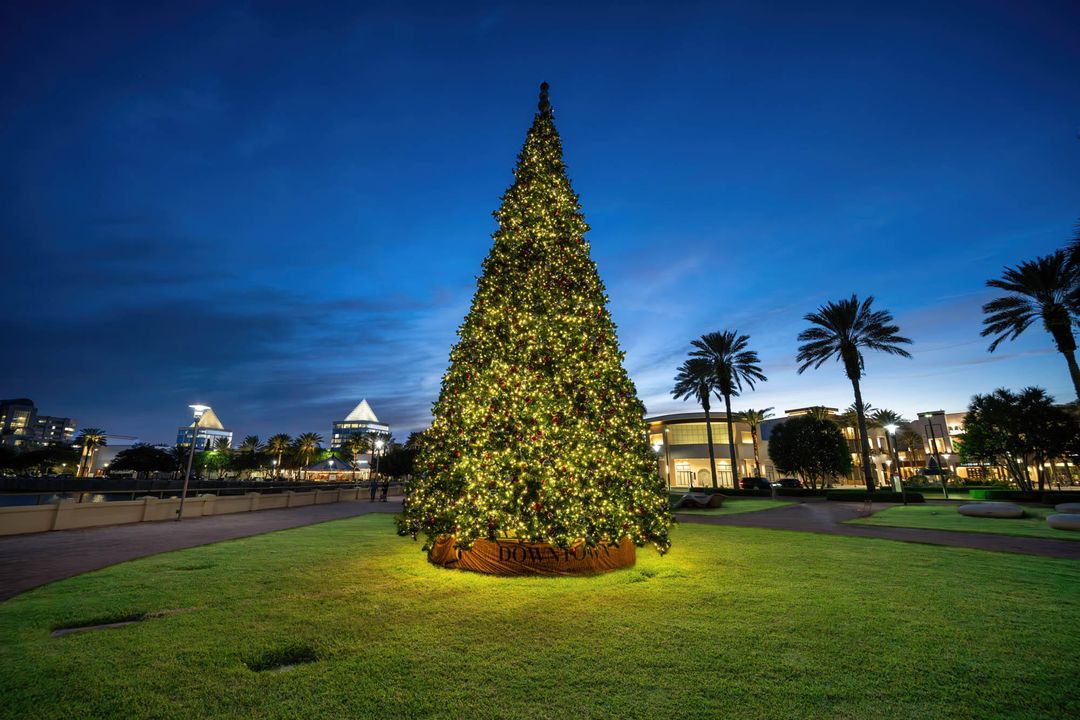 For Sale: $715,000 (2 beds, 2 baths, 1426 Square Feet)