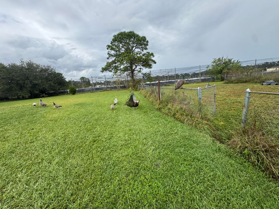 For Sale: $340,000 (3 beds, 2 baths, 2356 Square Feet)