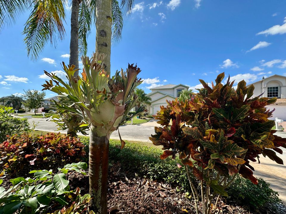 For Sale: $423,500 (3 beds, 2 baths, 1443 Square Feet)