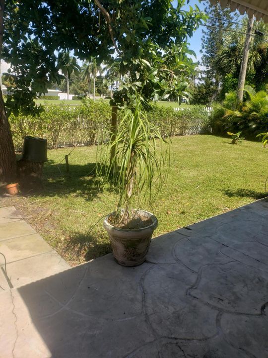 出租: $3,400 (3 贝兹, 2 浴室, 1514 平方英尺)