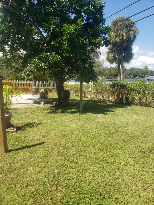 出租: $3,400 (3 贝兹, 2 浴室, 1514 平方英尺)