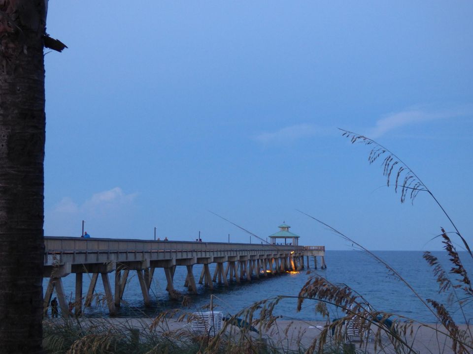 For Rent: $2,000 (1 beds, 1 baths, 319 Square Feet)