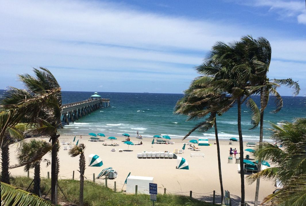 For Rent: $2,000 (1 beds, 1 baths, 319 Square Feet)