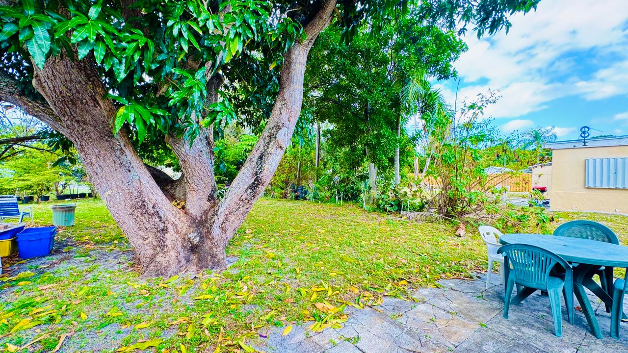 出租: $2,800 (3 贝兹, 1 浴室, 1240 平方英尺)