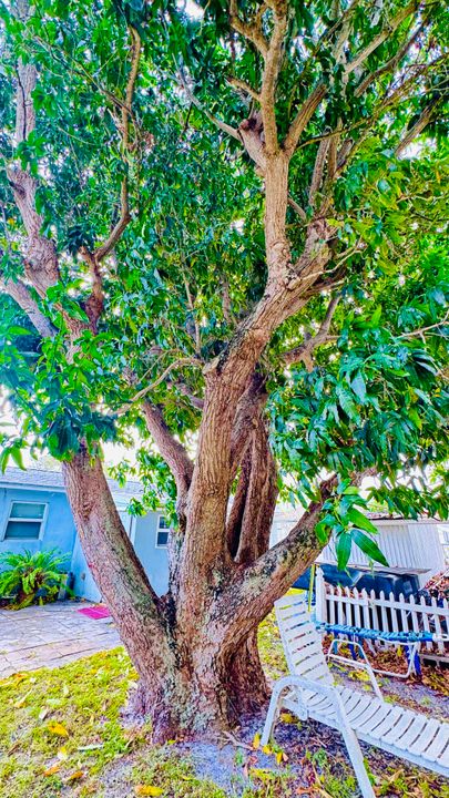 出租: $2,800 (3 贝兹, 1 浴室, 1240 平方英尺)