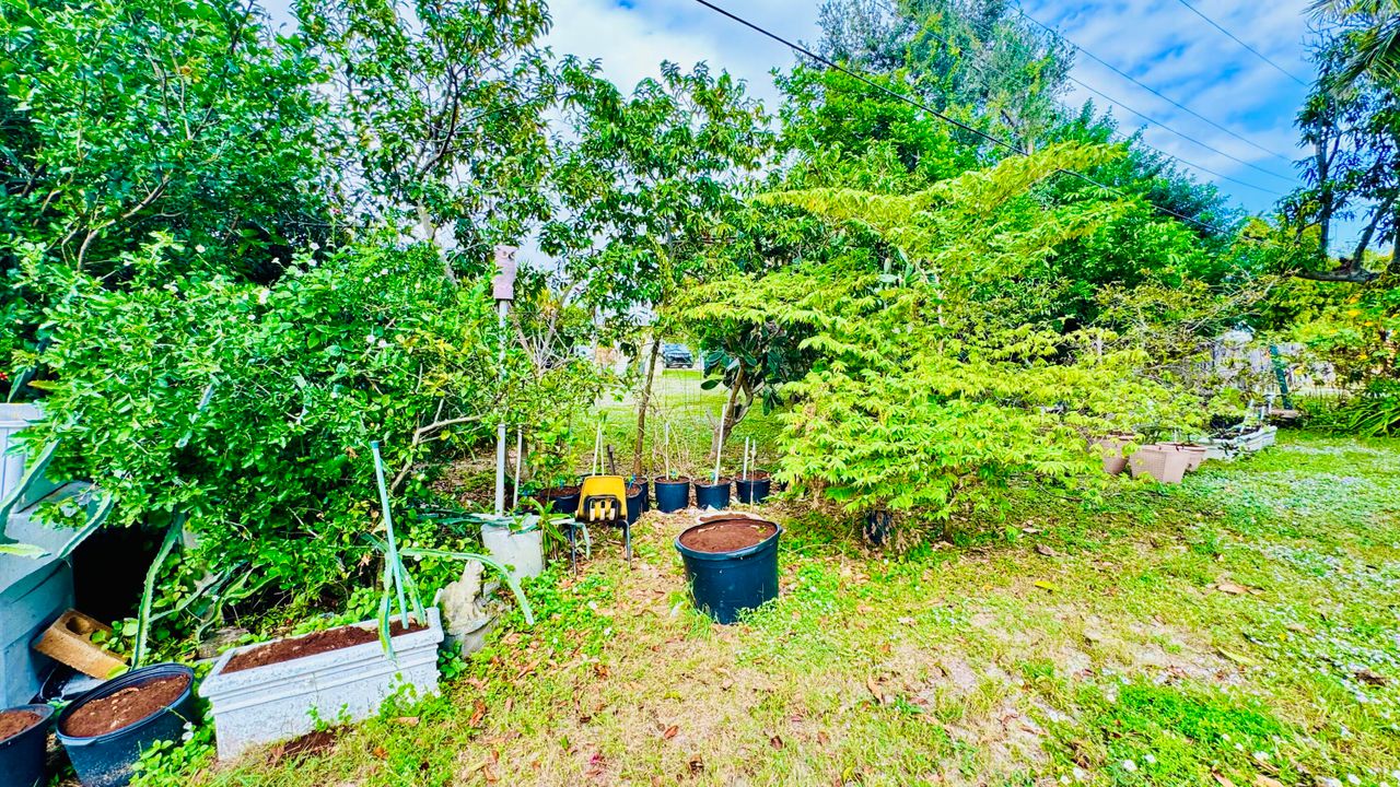 出租: $2,800 (3 贝兹, 1 浴室, 1240 平方英尺)