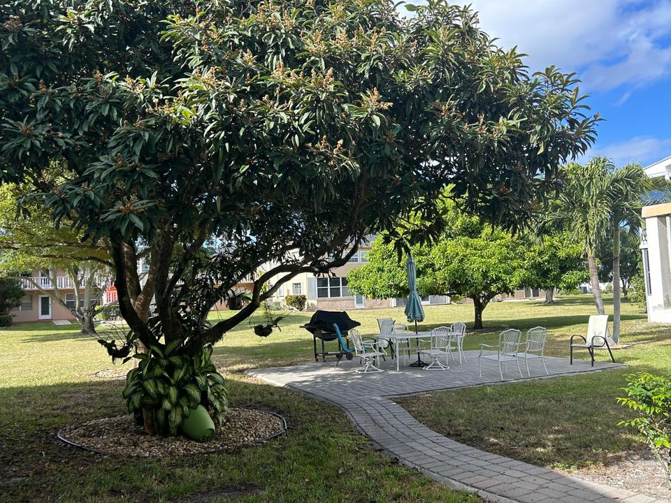 For Rent: $1,300 (1 beds, 1 baths, 570 Square Feet)