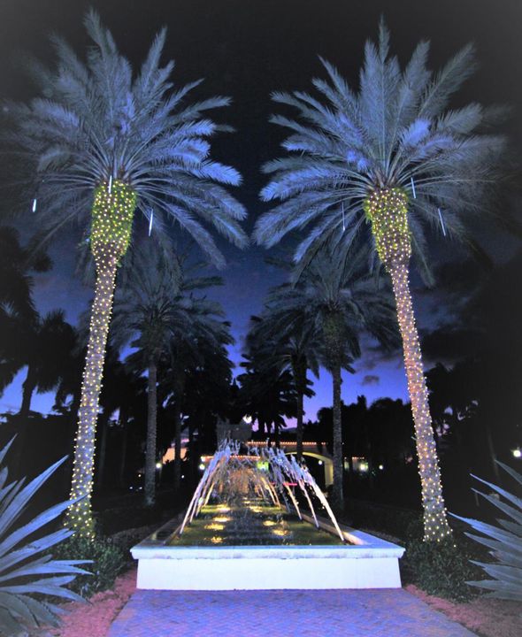 For Sale: $445,000 (3 beds, 2 baths, 1619 Square Feet)