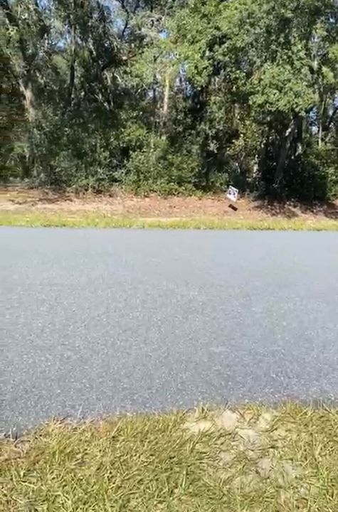 待售: $75,000 (0 贝兹, 0 浴室, 0 平方英尺)