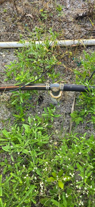 For Sale: $2,000,000 (0 beds, 0 baths, 0 Square Feet)