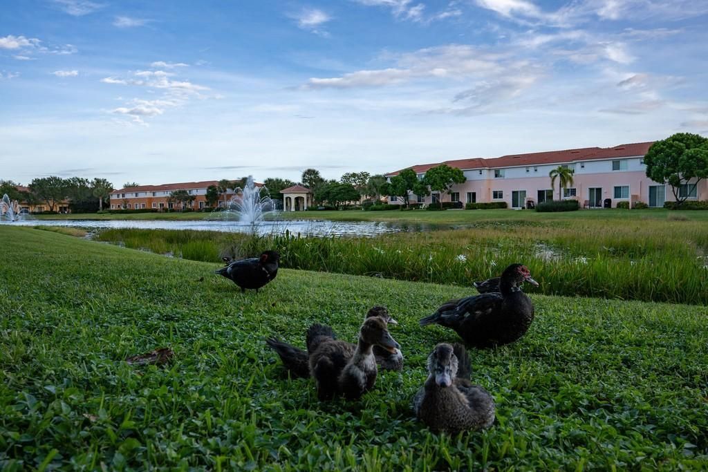 В аренду: $3,100 (3 спален, 3 ванн, 2012 Квадратных фут)