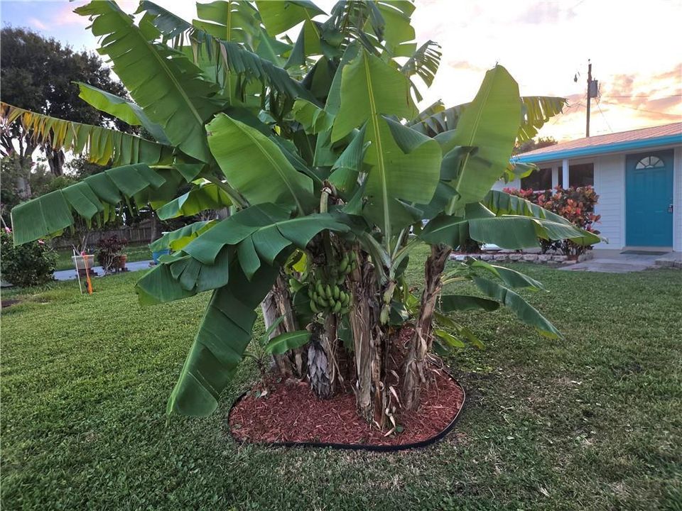 For Sale: $295,000 (3 beds, 1 baths, 624 Square Feet)