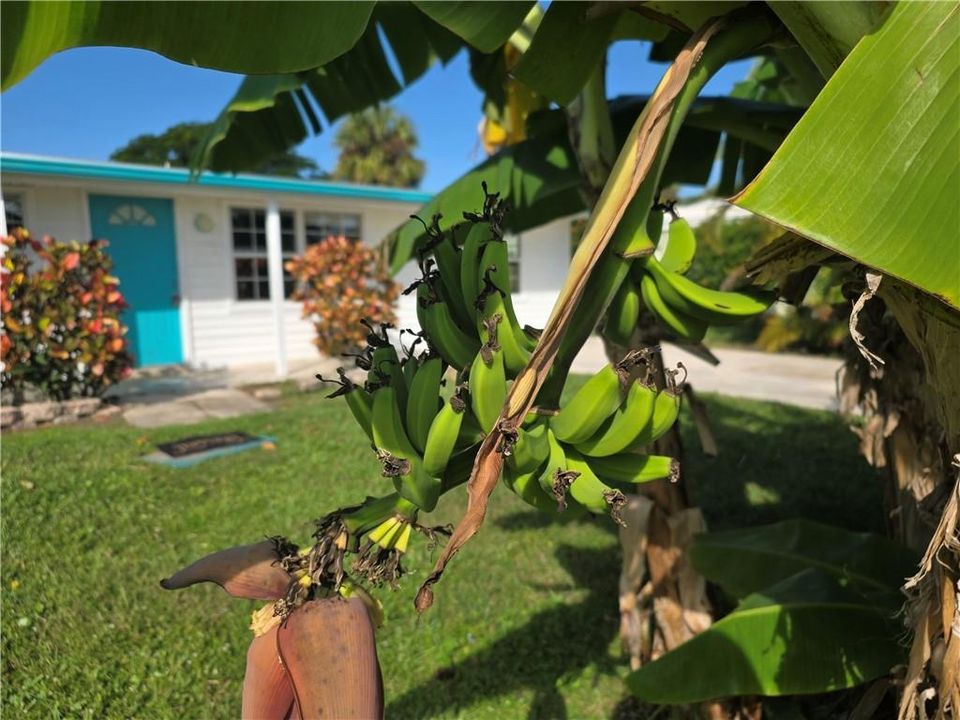 For Sale: $295,000 (3 beds, 1 baths, 624 Square Feet)