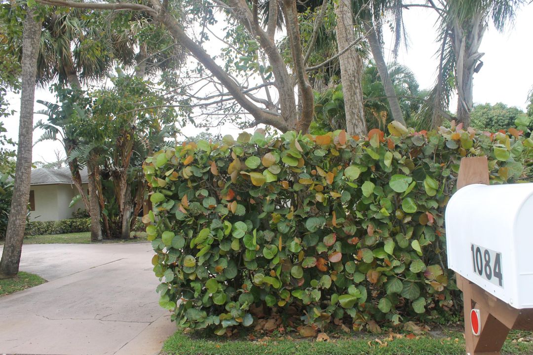 For Rent: $3,000 (3 beds, 2 baths, 1438 Square Feet)