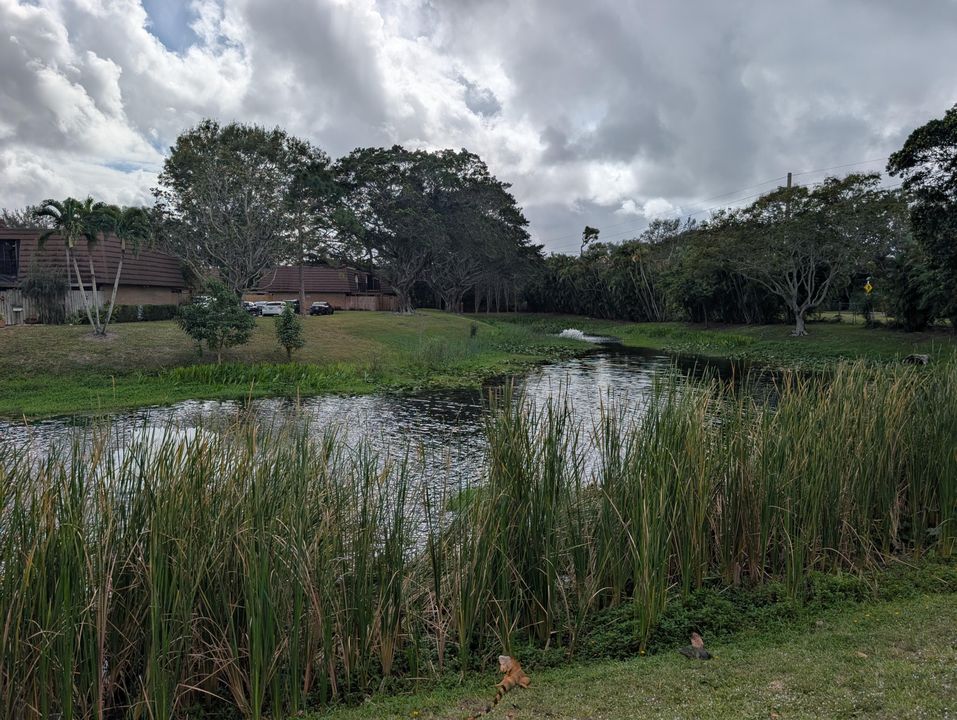 For Rent: $2,950 (3 beds, 2 baths, 1596 Square Feet)