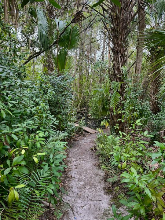 For Sale: $239,900 (0 beds, 0 baths, 0 Square Feet)