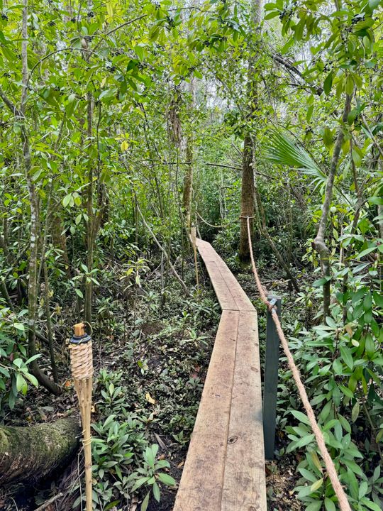 For Sale: $239,900 (0 beds, 0 baths, 0 Square Feet)