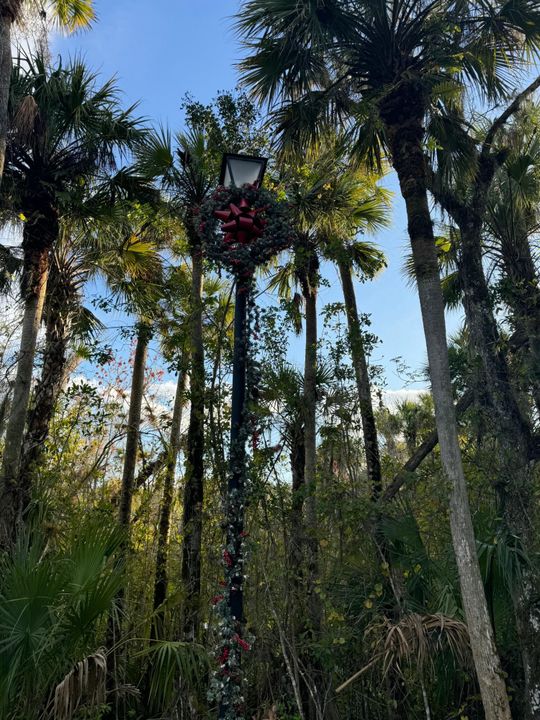 For Sale: $239,900 (0 beds, 0 baths, 0 Square Feet)