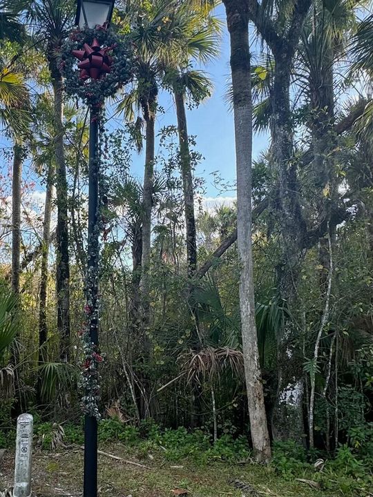 For Sale: $239,900 (0 beds, 0 baths, 0 Square Feet)