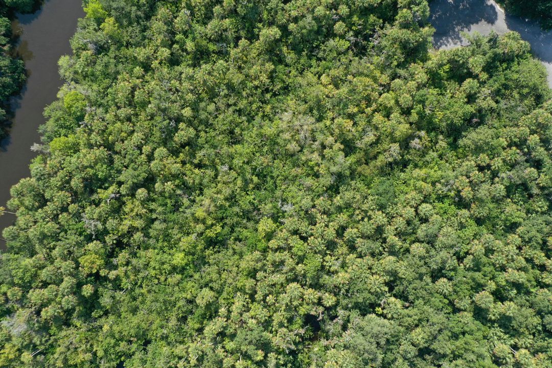 For Sale: $239,900 (0 beds, 0 baths, 0 Square Feet)