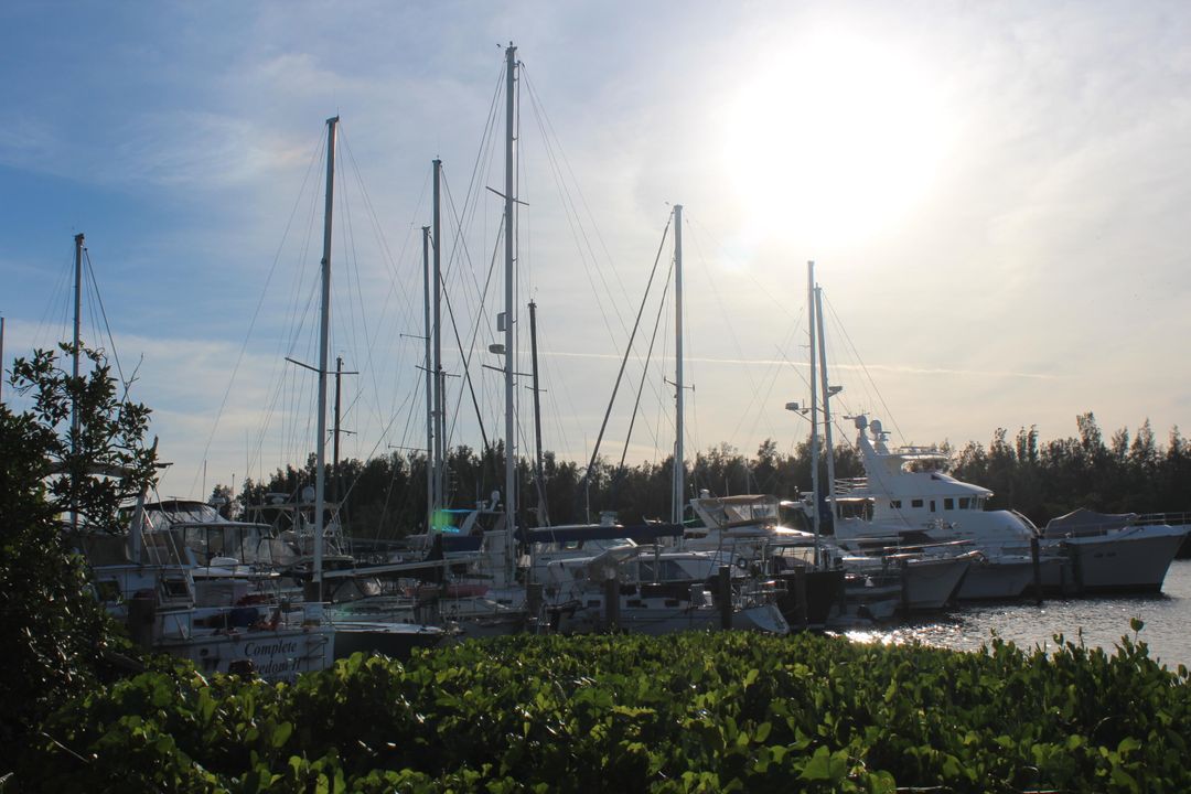 На продажу: $885,000 (6 спален, 4 ванн, 3498 Квадратных фут)