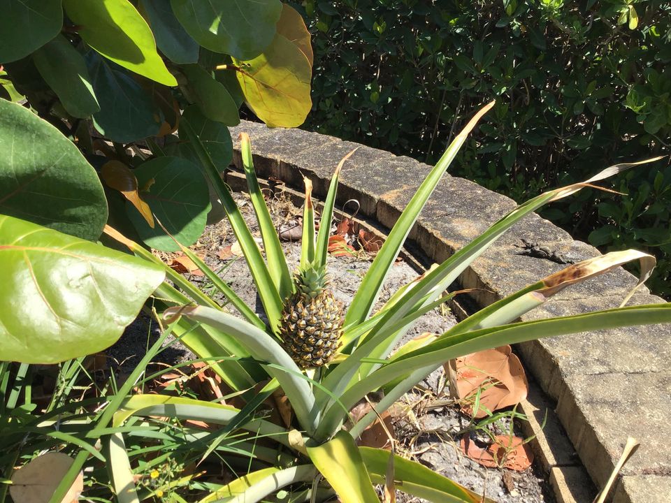 На продажу: $2,500,000 (5 спален, 4 ванн, 5099 Квадратных фут)