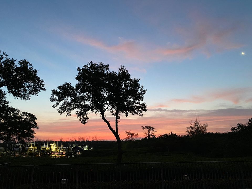 На продажу: $2,500,000 (5 спален, 4 ванн, 5099 Квадратных фут)