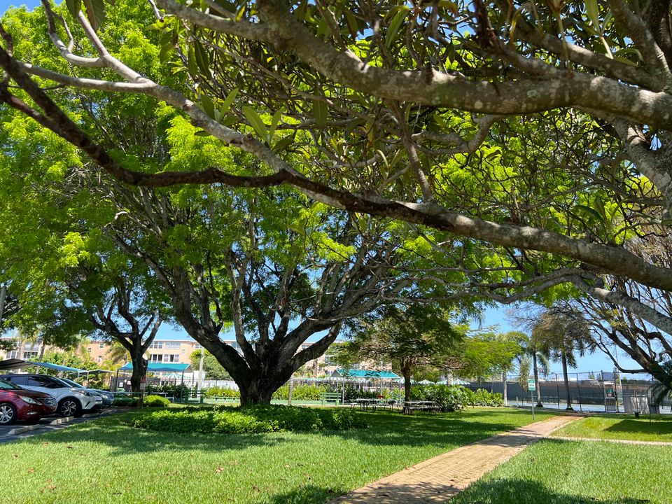 For Sale: $135,900 (1 beds, 1 baths, 754 Square Feet)