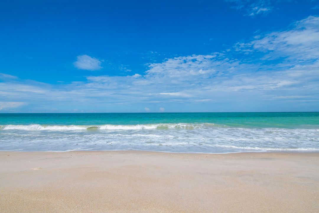 В аренду: $4,000 (2 спален, 2 ванн, 2399 Квадратных фут)