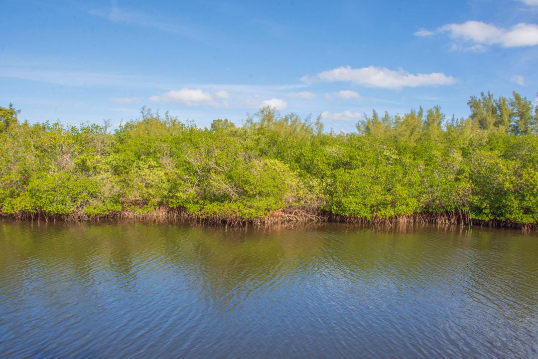 В аренду: $4,000 (2 спален, 2 ванн, 2399 Квадратных фут)