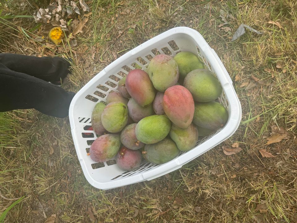 For Sale: $339,650 (3 beds, 2 baths, 1092 Square Feet)