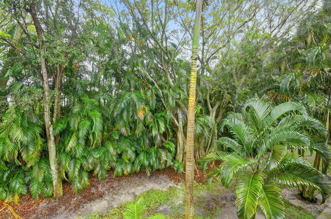 En Venta: $349,000 (3 camas, 2 baños, 1523 Pies cuadrados)