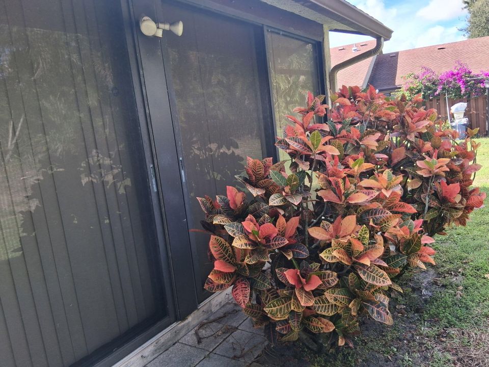 На продажу: $269,500 (2 спален, 2 ванн, 1134 Квадратных фут)