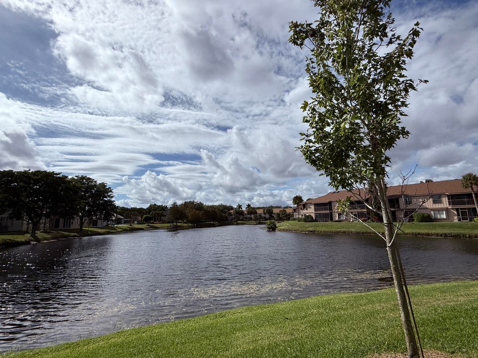 For Sale: $255,000 (3 beds, 2 baths, 1250 Square Feet)