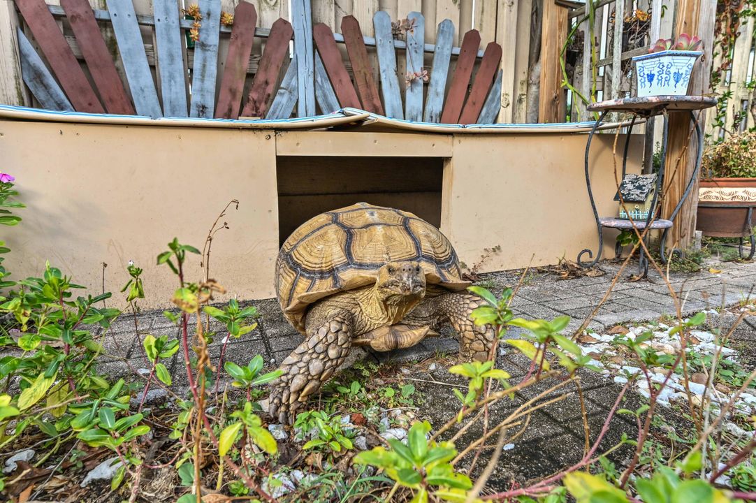 For Sale: $749,000 (3 beds, 3 baths, 1630 Square Feet)