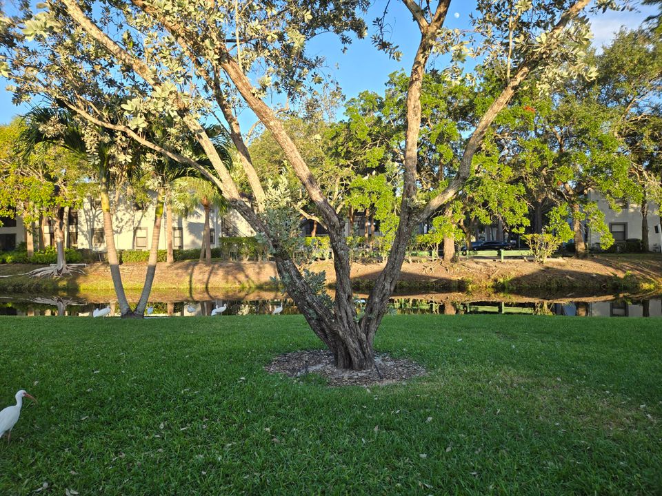 For Rent: $3,100 (2 beds, 2 baths, 1560 Square Feet)