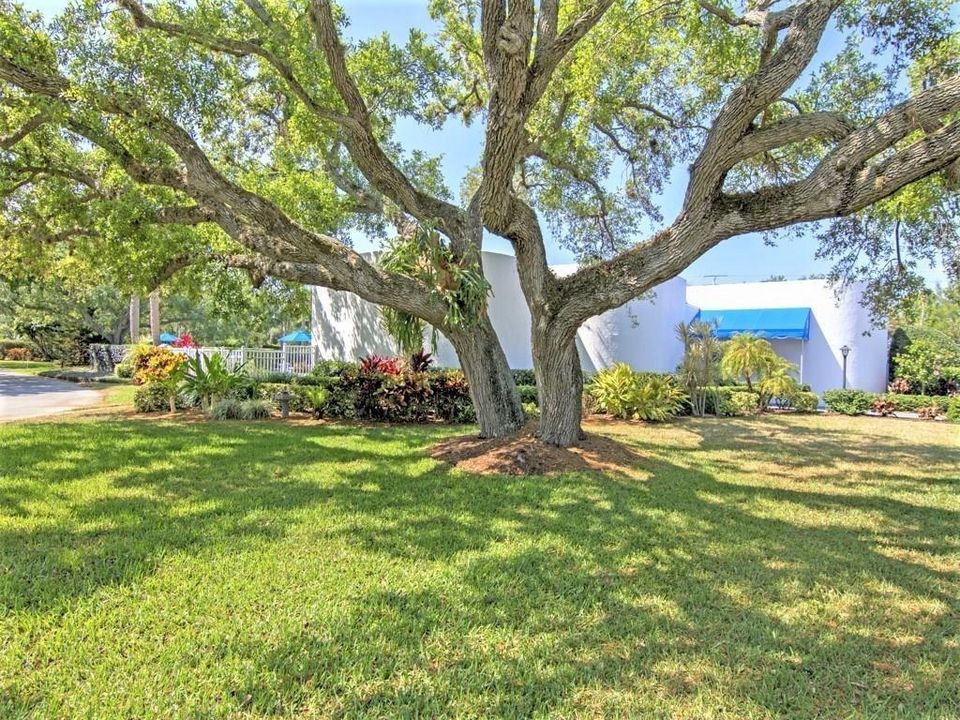 For Sale: $299,900 (2 beds, 2 baths, 1502 Square Feet)