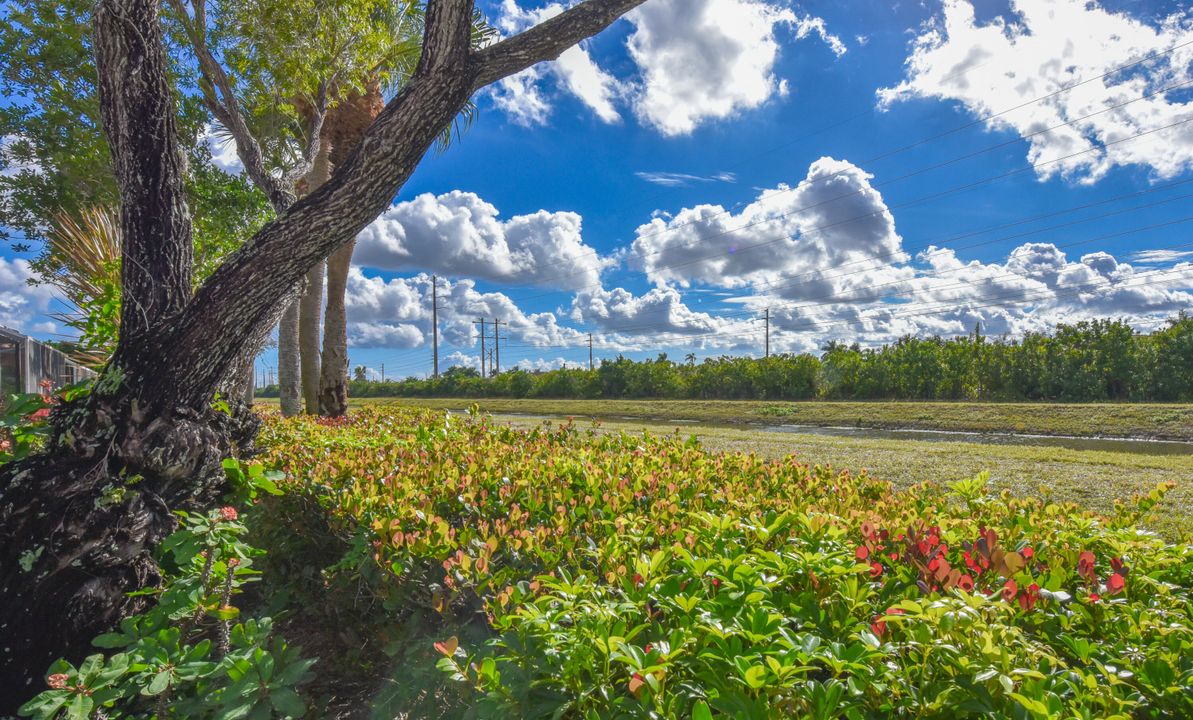 For Sale: $519,000 (3 beds, 2 baths, 2215 Square Feet)