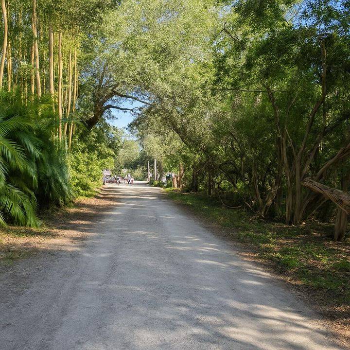 For Sale: $250,000 (0 beds, 0 baths, 0 Square Feet)